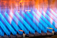 Eartham gas fired boilers